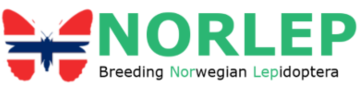 Norlep.com